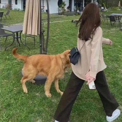 万圣年代